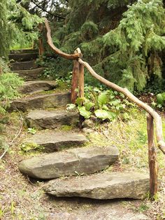 stone steps lead up to the woods