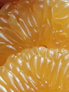 close up view of the inside of an orange