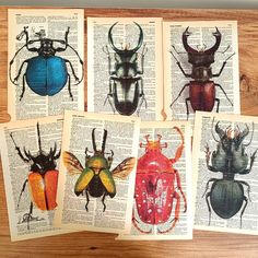 four different colored bugs on top of an open book