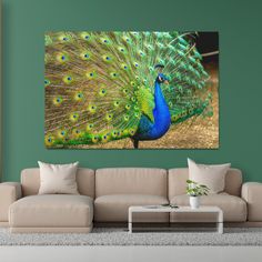 a peacock with its feathers spread out in front of the camera on a green wall