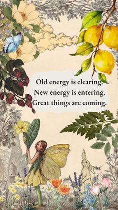 an image of a fairy with flowers and butterflies on it's back, saying old energy is clearing new energy is entering great things are coming