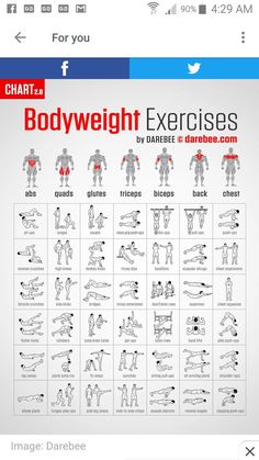 the bodyweight exercises chart is displayed on an iphone screen