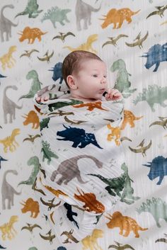 a baby wrapped in a blanket with dinosaurs on it