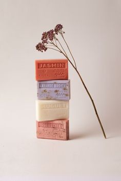 Soap Product Photography, Aesthetic Soap, Soap Aesthetic, Soap Advertisement, Soap Photography, Soap Collection, French Soap, Coconut Soap