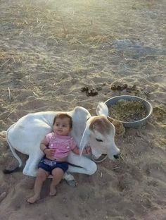 a baby sitting on the ground next to a cow