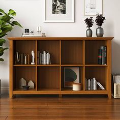 a wooden shelf with books and pictures on the wall next to a potted plant