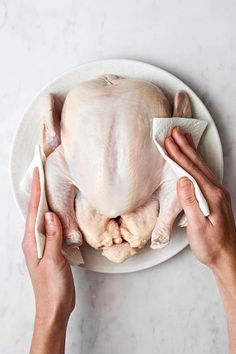 two hands holding a whole turkey on a white plate