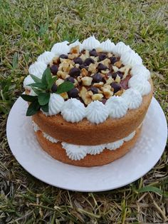 a cake sitting on top of a white plate covered in frosting and toppings