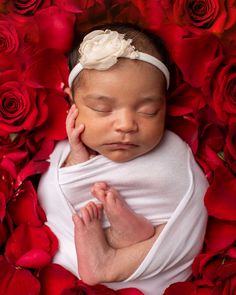 a newborn baby is wrapped in white and surrounded by red roses with her hands on her head