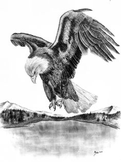 an eagle flying over a body of water