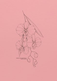 a drawing of some flowers on a pink background