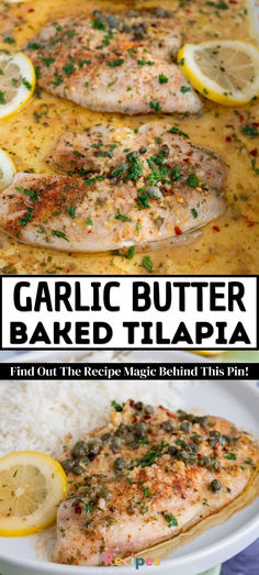 Tender, flavorful, and so easy to make! This Garlic Butter Oven Baked Tilapia Recipe is a perfect go-to for a quick and healthy dinner. With a rich garlic butter sauce, it’s sure to be a hit with the whole family. Ready in just minutes! #GarlicButterTilapia #OvenBakedFish #EasyDinner #HealthyRecipes Butter Garlic Tilapia, Tilapia Easy Recipe, Recipe For Tilapia, Baked Tilapia Dinner Ideas, Tilapia Bowl Recipes, Basa Fish Recipes Baked, Bake Flounder Recipes Oven, Meals With Tilapia, Best Baked Fish Recipes