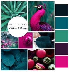 the mood board is filled with purple and green