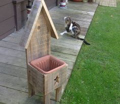 a cat is sitting on the porch next to a birdhouse with a star in it