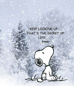 a cartoon dog sitting in the snow with a caption that reads, keep looking up that's the secret of life