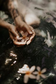 a person holding flowers in their hands with water reflecting on the ground behind them,