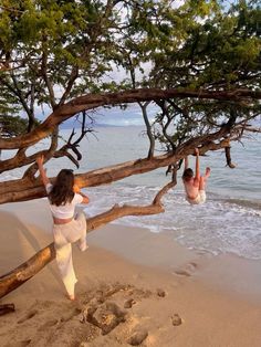 two people are playing on the beach by some tree branches and one person is in the water