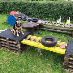 a dog sitting on top of a wooden bench made out of pallets and tires