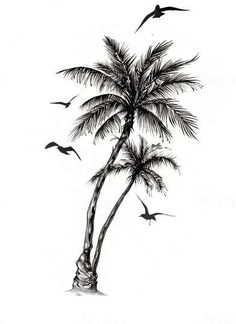 a drawing of a palm tree with birds flying around it and the bottom half is black and white