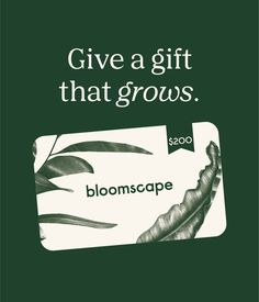 a green gift card with the words give a gift that grows