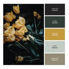 some yellow flowers are in the middle of color swatches with black and gold accents