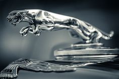 the hood ornament of a car is shown