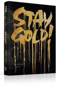 a black and gold book cover with the words stay gold on it's side