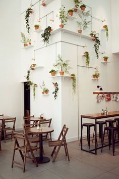 an indoor cafe with tables and chairs covered in potted plants hanging from the wall