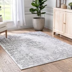 a living room area with a rug, chair and potted plant on the floor