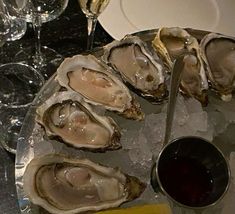 oysters on an ice tray with a glass of wine