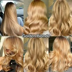 Full Honey Blonde Hair, Warm Hair Color Ideas Blonde, Blond Honey Hair, Blonde Hair Color Ideas For Fall, Golden Blonde With Lowlights, Level 7 Blonde Hair, Warmer Blonde Hair, Blonde Hair Ideas For Fall, Warm Blonde Hair Color Honey