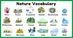 a poster with different types of nature and their names on it's green background