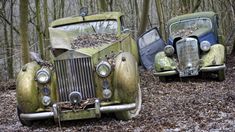 two old cars parked in the woods near each other, one is green and the other is yellow