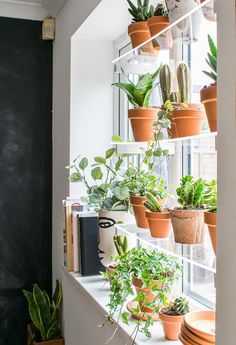 a window sill filled with lots of potted plants