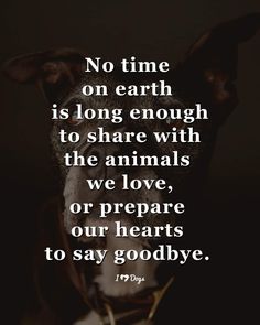 a black and white dog with the quote no time on earth is long enough to share with the animals we love, or prepare our hearts to say goodbye