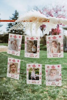 a string with pictures hanging from it in the grass