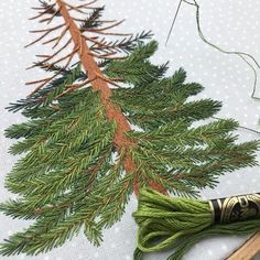 the needle is next to some green thread and a piece of fabric with a pine tree on it