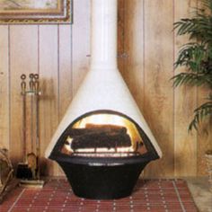 a room with a wood burning stove and potted plant on the floor next to it