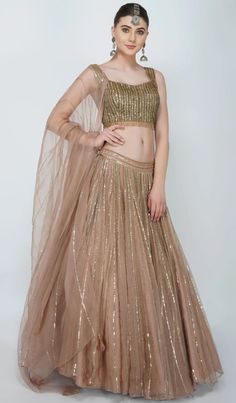 Organza Styles, Tassel Blouse, Organza Lehenga, Lehenga Skirt, Dressing Style, Rose Gold Sequin, On The Border, Organza Dupatta, Gold Sequins