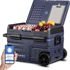 a person holding a cell phone next to an ice chest filled with fruit and beverages