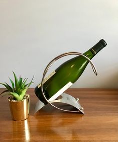 a wine bottle holder with a succulent in it