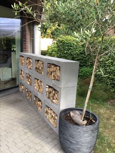 a large potted tree sitting next to a firewood rack on the side of a building