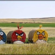 three angry birds sitting on hay bales in the middle of an open field,