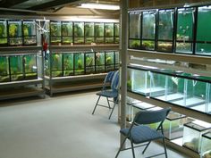 an empty room filled with lots of fish tanks and chairs in front of the aquarium