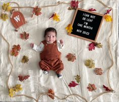 a baby is laying on a blanket with fall leaves and a sign that says i can not be leaf one month