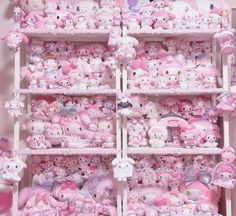 a shelf filled with lots of pink stuffed animals on it's sides and shelves