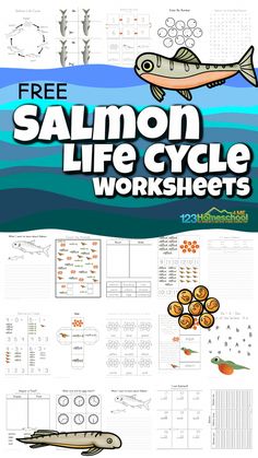 the free salmon life cycle worksheet is shown in this graphic file and includes information about how to use it