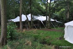 several tents are set up in the woods