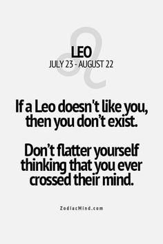 the quote leo on leo doesn't like you, then you don't existt