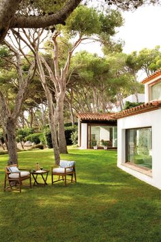 two chairs sitting on top of a lush green field next to a tree filled yard